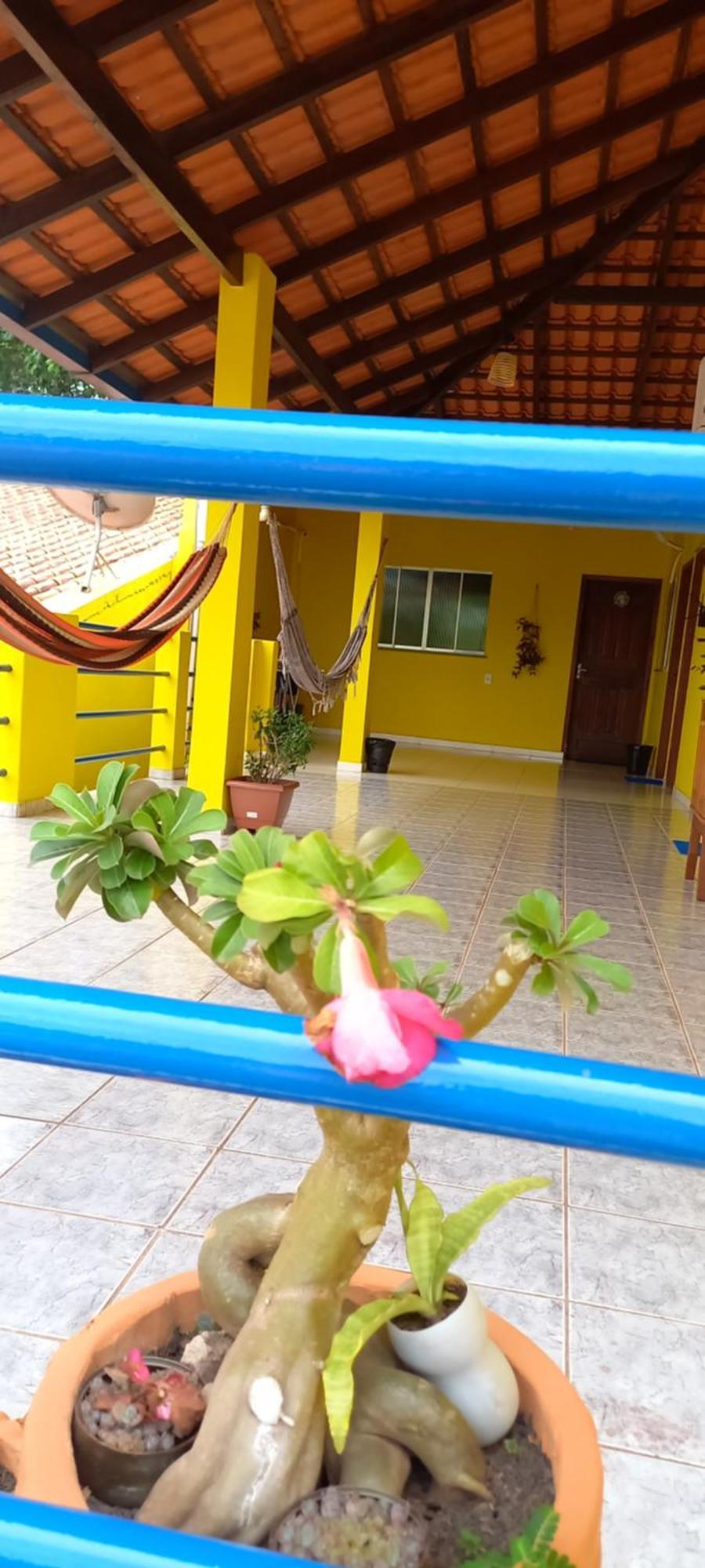 Casa Da Vila - Hospedaria - 3 Min Do Centrinho De Alter Алтер-ду-Шан Экстерьер фото
